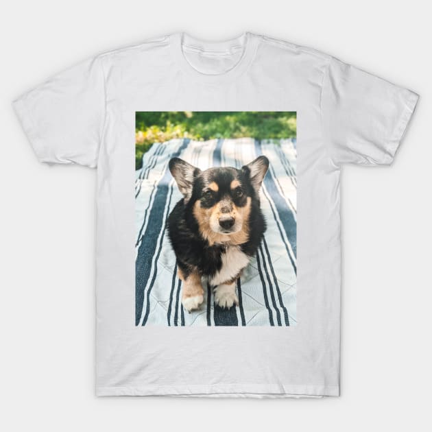 Corgi girl T-Shirt by ThomasGallant